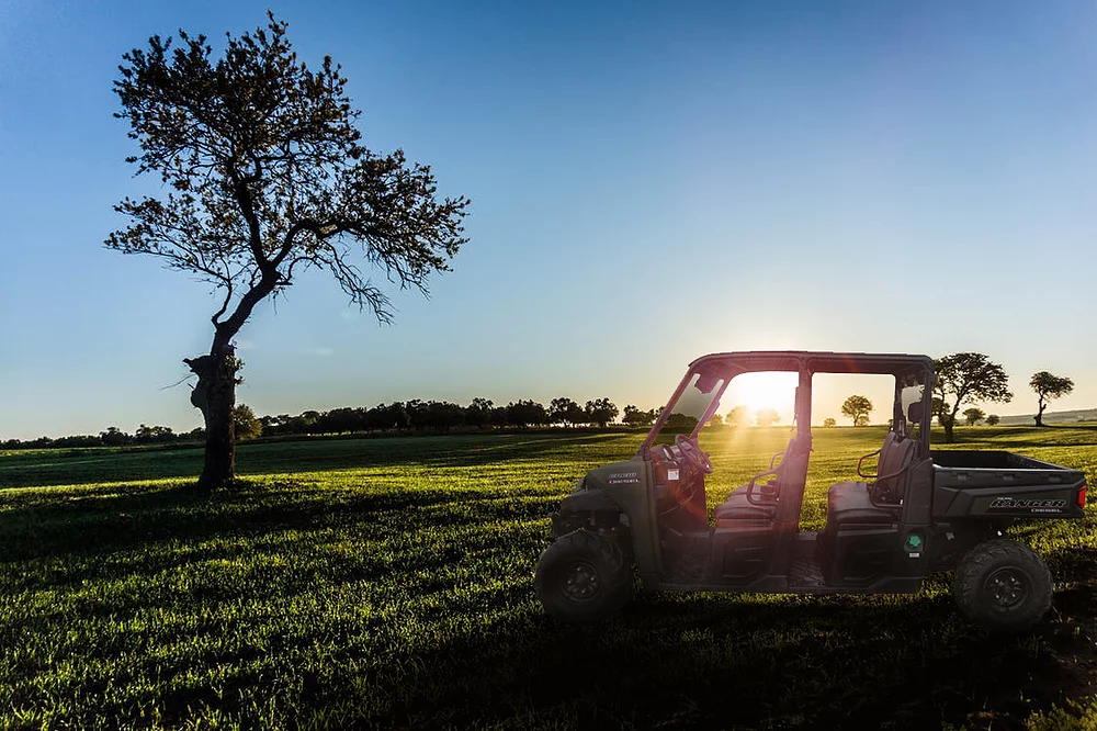 ATV all terrain vehicle and quad bike hire from Forest and Arb Hire